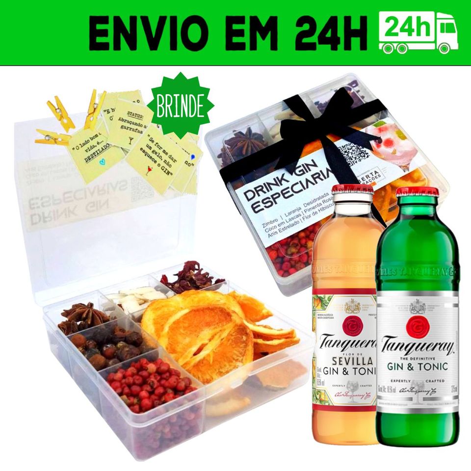 Kit Gin Tonic Tanqueray 275ml com 6 Especiarias e Dosador - Roberta  Decoracoes