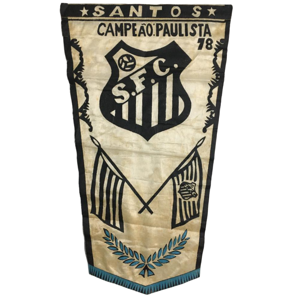 A grande campanha do Campeão - Santos Futebol Clube