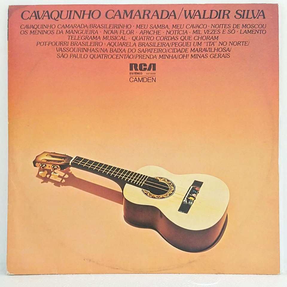 LP Waldir Silva - Cavaquinho camarada - Vinyl Virtual Shop - Discos de  vinil e CDs